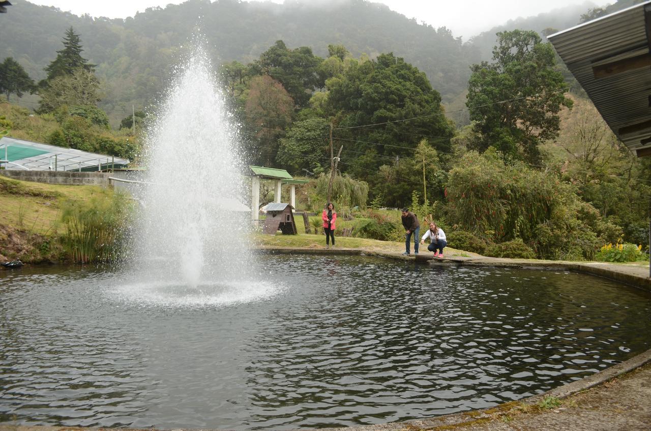 Los Lagos Lodge San Gerardo de Dota Buitenkant foto