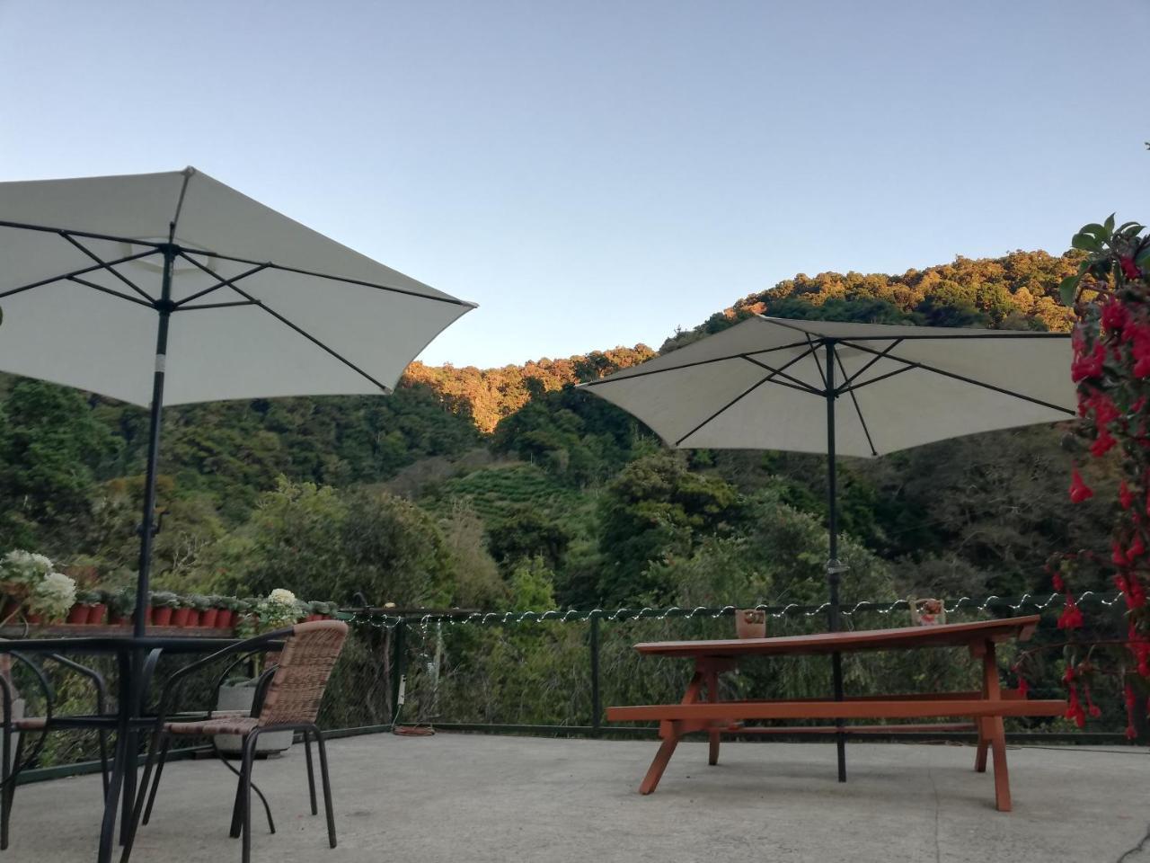 Los Lagos Lodge San Gerardo de Dota Buitenkant foto